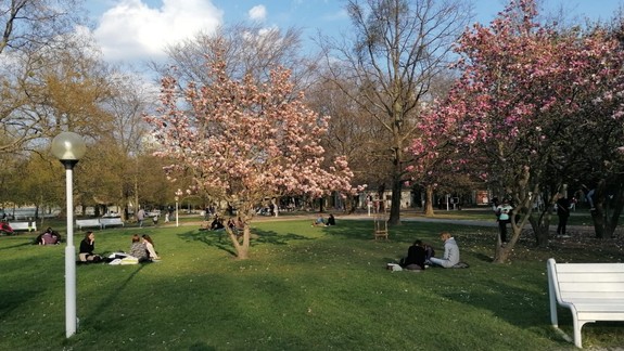 Koronavírus: Situácia na Slovensku sa zlepšuje, reprodukčné číslo je však stále zvýšené