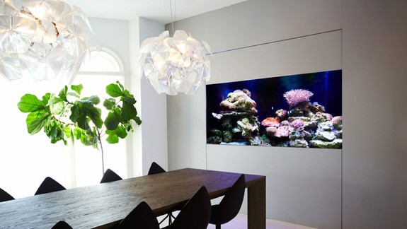 Zaujímavá dekorácia do bytu či kancelárie