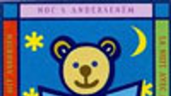 Knižnica sa premení na historický hrad