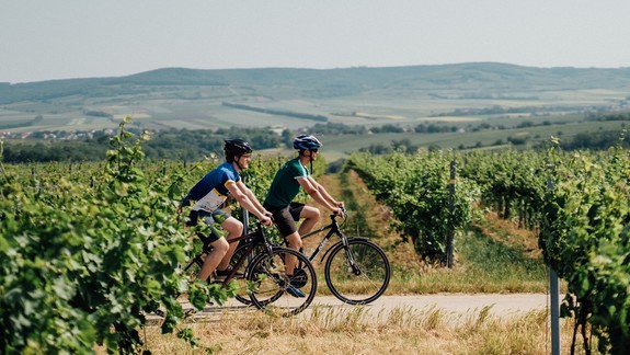 Objavte Dolné Rakúsko na bicykli a vyberte sa za zážitkami cez tematické ciele