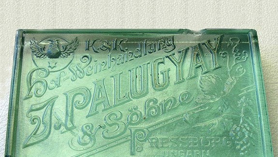 Palugyayovci zbierali vavríny aj na výstavách