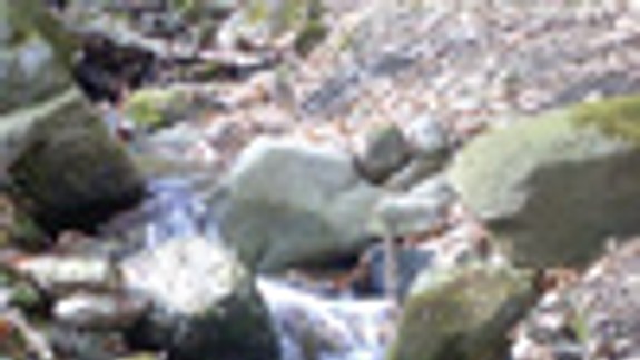 Mesto prenajalo pozemky na výstavbu poldra