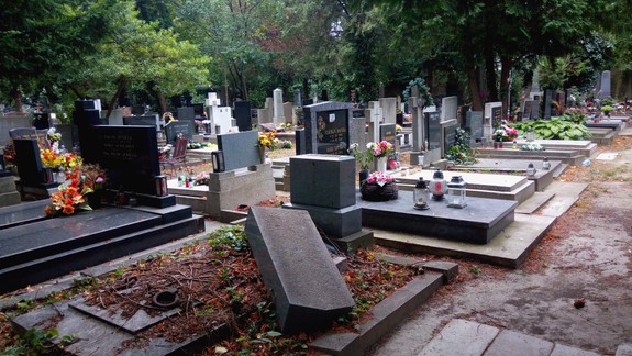 Na cintorínoch padlo počas víchrice 12 stromov