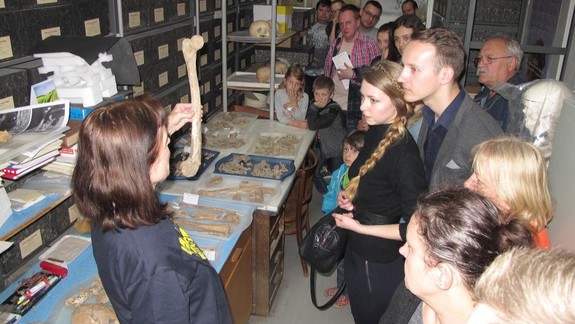 Tip na sobotu: Noc múzeí a galérií ponúkne program pre všetky vekové kategórie