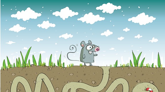 Labyrint: Nájdi správnu cestu (14. časť)