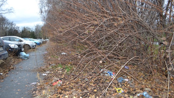 O pozemok sa každý vlastník musí starať