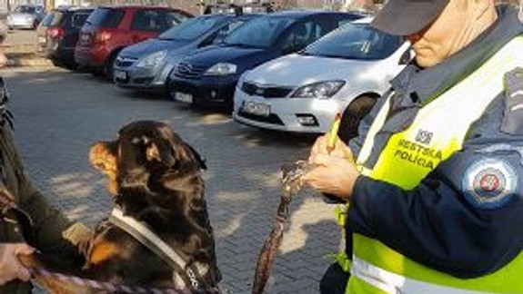 Mestskí policajti kontrolovali psíčkarov