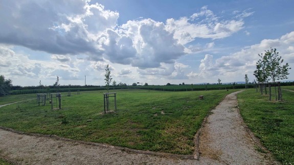 Pripravujú aj prednášku, guľáš či workshopy: Na Rusovskej lúke môžete pomôcť s vysádzaním stromov