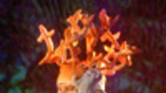 Malá morská vila pri návšteve suchozemia