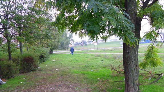 FOTO: Takéto smetisko sa ukrýva v kríkoch na Budatínskej