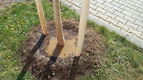 Petržalskí záhradníci začali využívať aj špeciálne misky