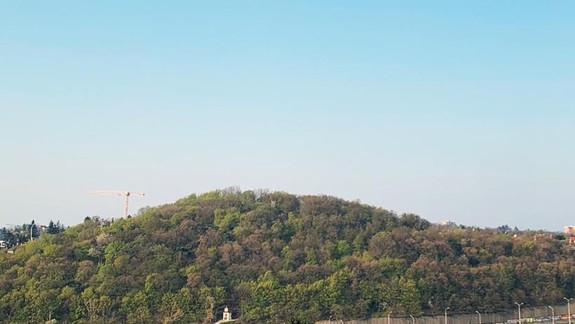 FOTO: Podarí sa občianskym aktivistom ochrániť les na kalvárii pred možnou výstavbou?