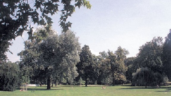 V Petržalke má vyrásť unikátny rodinný park 