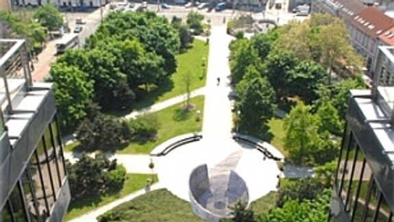 Investor sľubuje, že stromy nevyrúbu, iba presadia