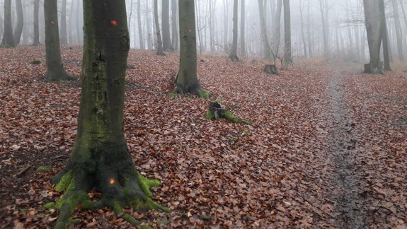 Nad Dlhými dielmi napadla skupina ľudí lesníkov
