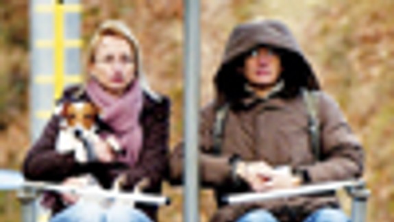 Teplá zima mení správanie prírody i ľudí