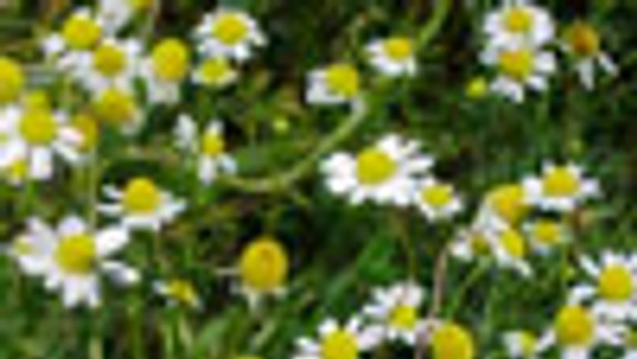 Príroda patrí prírode, nie do smetiakov