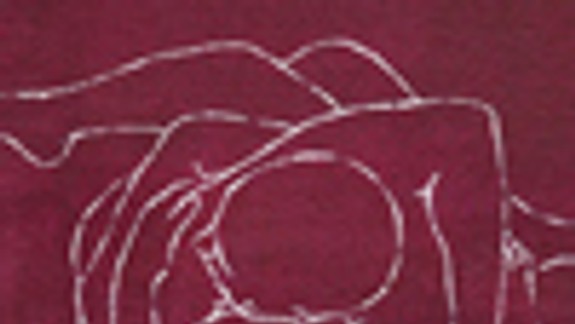 Sadovská uvádza v Devíne svoj Drawing Pin