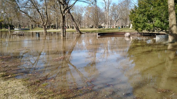 VIDEO a FOTO: Čo sa stalo? Sad Janka Kráľa zaplavila voda