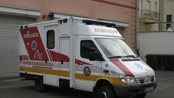 Agresívny 35-ročný muž užil ihličie tisu obyčajného. Po prevoze do nemocnice zomrel!