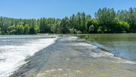 Vodohospodárska výstavba chce kúpiť kompu na verejnú vodnú dopravu po Dunaji za vyše 11,25 milióna eur