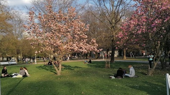 Medickú záhradu čaká revitalizácia, rátajte s miernymi obmedzeniami