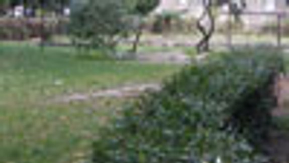 P. Biskupice hľadajú, kto sa postará o zeleň