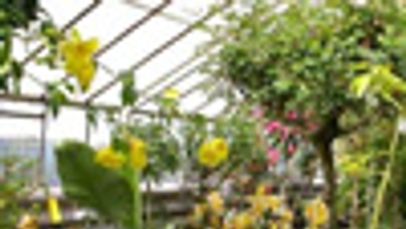 Sezóna v botanickej záhrade sa začne od 1. apríla