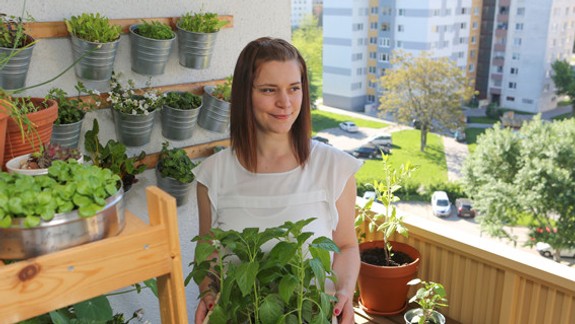 Neskúsite to? Michala premenila sídliskovú lodžiu na záhradu, vypestovala i zemiaky