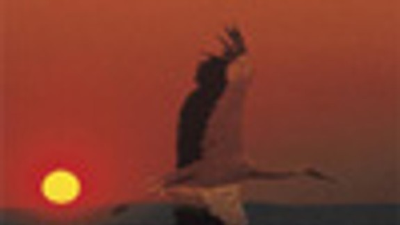 Spoznajte Burgenland - krajinu slnka a vína