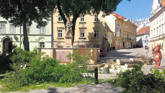 Stála zelená hrozba v centre mesta