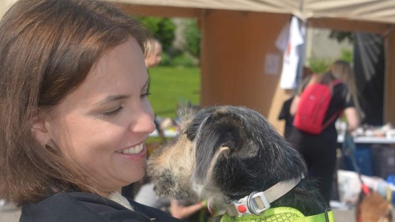 Počas charitatívneho podujatia si našlo nový domov 12 psīkov