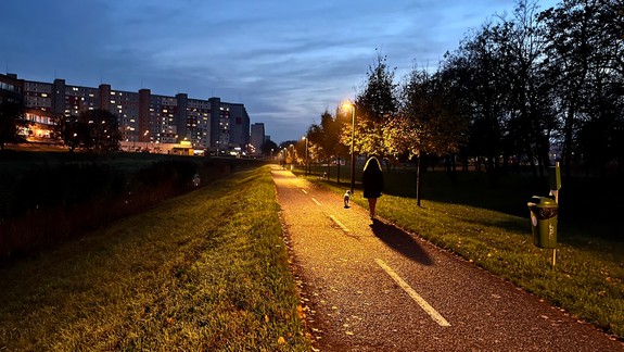 Rekonštrukcia chodníka pri Chorvátskom ramene v pláne nebola, hoci sa tak zdalo