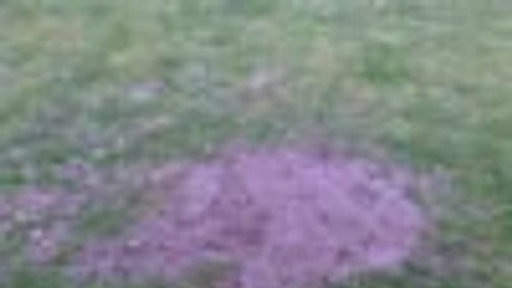 Úradníci chceli vysádzať na súkromnom pozemku