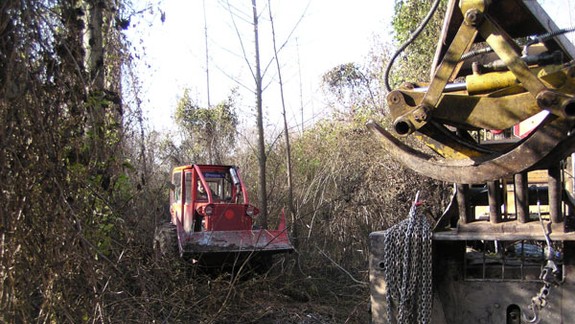 Rúbanie lesa je legálne, ľuďom sa nepáči