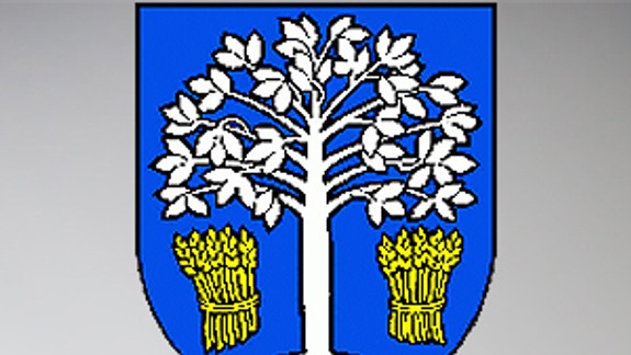 Voľby 2014 | Zoznam kandidátov - mestská časť Čunovo