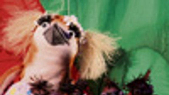 Detská literárna klasika sa objaví na scéne BBD