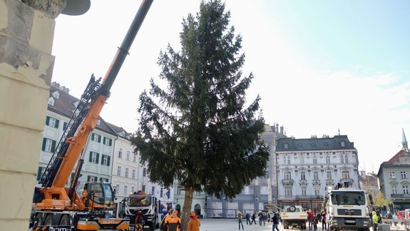 Na Hlavnom námestí už nájdete 14-metrový vianočný stromček: Páči sa vám?