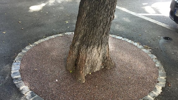 Inšpirovali sa v zahraničí, stromy chránia vodopriepustnou gumou