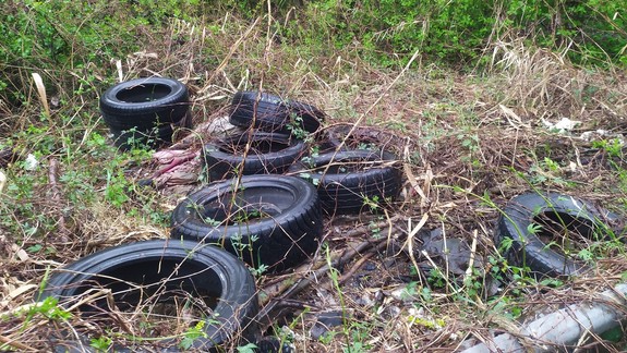 Prečo sa petržalské lesy stali mestským odkladiskom pneumatík?