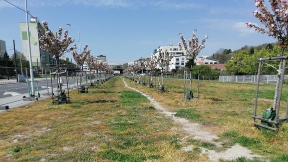 Na Karloveskej vznikne multifunkčný park