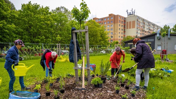 FOTO: Do záhradkárskej skupiny starajúcej sa o Mestský ovocný sad by sa zišiel ťahúň...