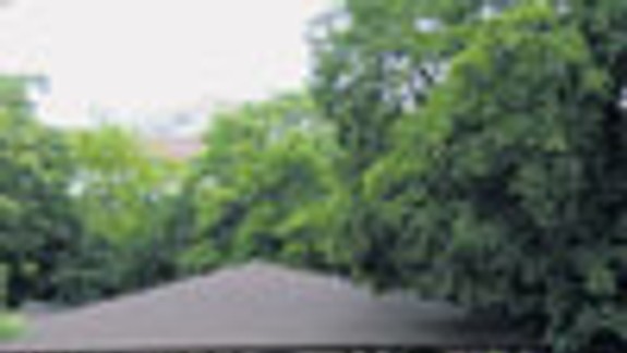 Vešeléniho záhrada na Dunajskej je zatvorená