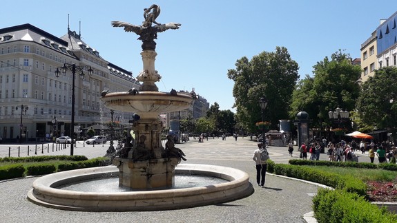 Namiesto stromov kvetináče? Starostka reaguje na obavy o najkrajšie námestie v centre Bratislavy