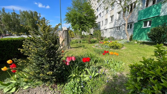 FOTO Pastva pre oči: Do súboja o najkrajšiu petržalskú predzáhradku postúpilo 10 finalistov