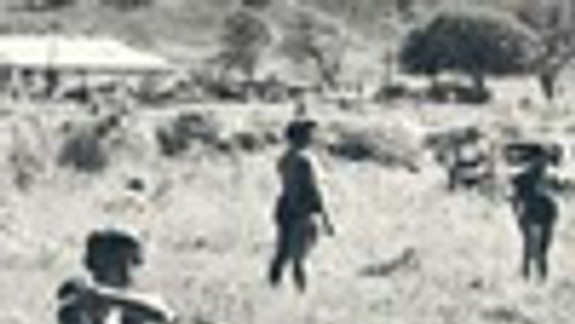 Naše výlety do mesta a jeho okolia