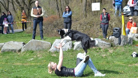 Bratislavská zoo má malé prírastky