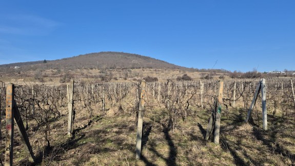 Končí sa meteorologická zima, ojedinele sú prekonané teplotné rekordy