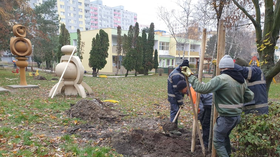 Dúbravka začala s výsadbou 83 stromov: V akých lokalitách pribudnú?