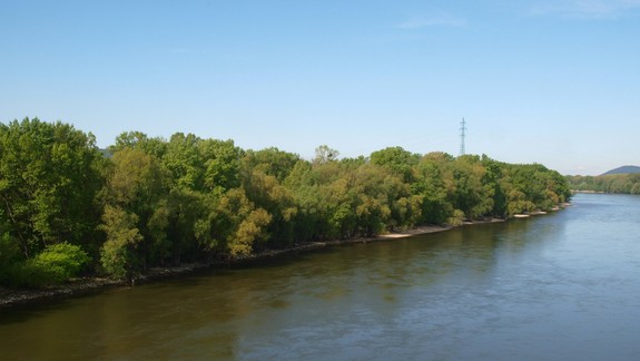 Kauza Pečniansky les: Súd  zatiaľ nevytýčil termín odvolacieho konania